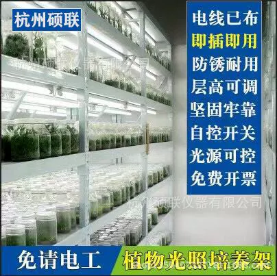 Культуры растений стеллаж светлая культура стеллаж культура растений стеллаж Культура ткани стеллаж