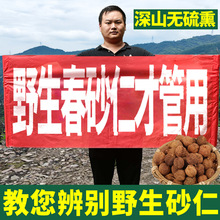 �����x100�˴��������ꖴ���ɰ��ꖴ��خaҰ����ɰ�ʹ��Ƥ�Ҝ�