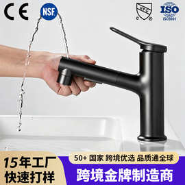 抽拉面盆龙头卫生间多功能漱口洗脸盆伸缩水龙头家用浴室冷热枪灰