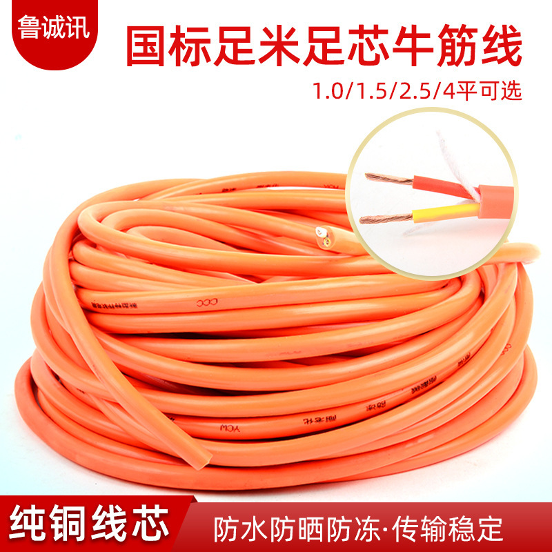 Two-core national standard beef tendon wire cord household cable power cord 2-core outdoor 2.5 square copper core sheath wire