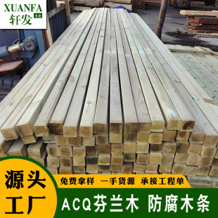 50*50����ľ�l�������ľ��ľ�ذ����ǌ�ľ����ľ�������͸��g