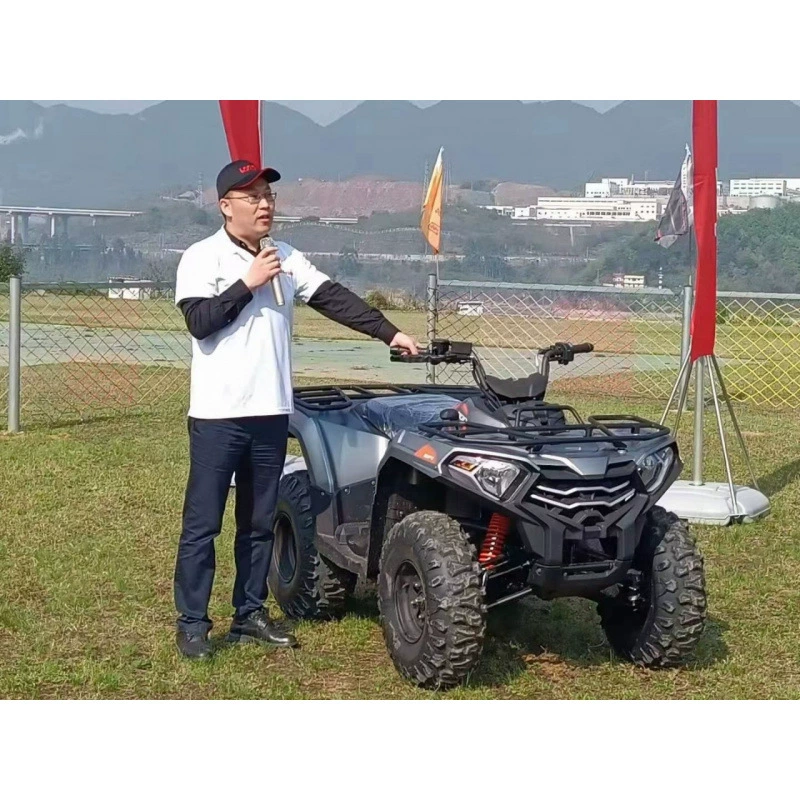 Арктический Tianlongxin электрический распыление 300cc водяного охлаждения четырехколесный горный внедорожный мотоцикл ATV для взрослых большой картинг