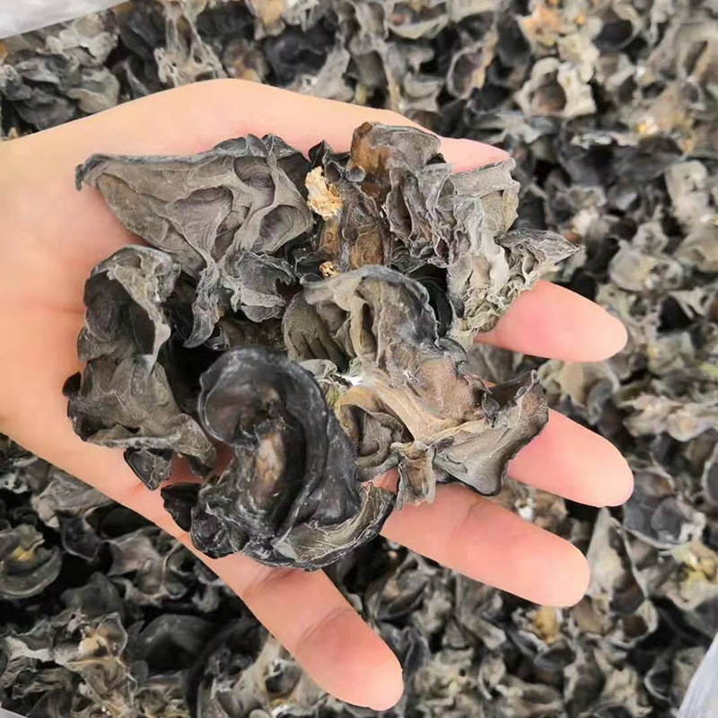 Xinjiang Baicheng black fungus 500g*2 bags of specialty dry goods small bowl of autumn fungus with thick flesh, no roots and no need to pick