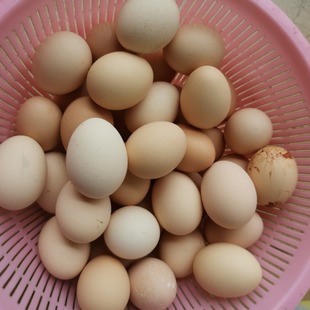 ���u��ɢ�B�r���ߵ��u���خa���r���ӵ��F��F�l�x�ݸߵ��נI�B