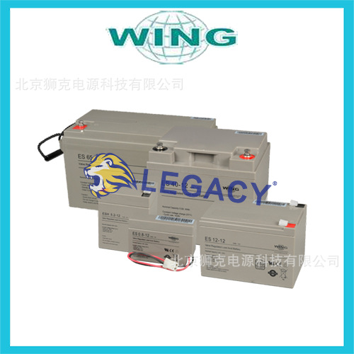 WING蓄电池 ESL200-12 ESL200-6牵引车 UPS电源12V200AH 6V200AH