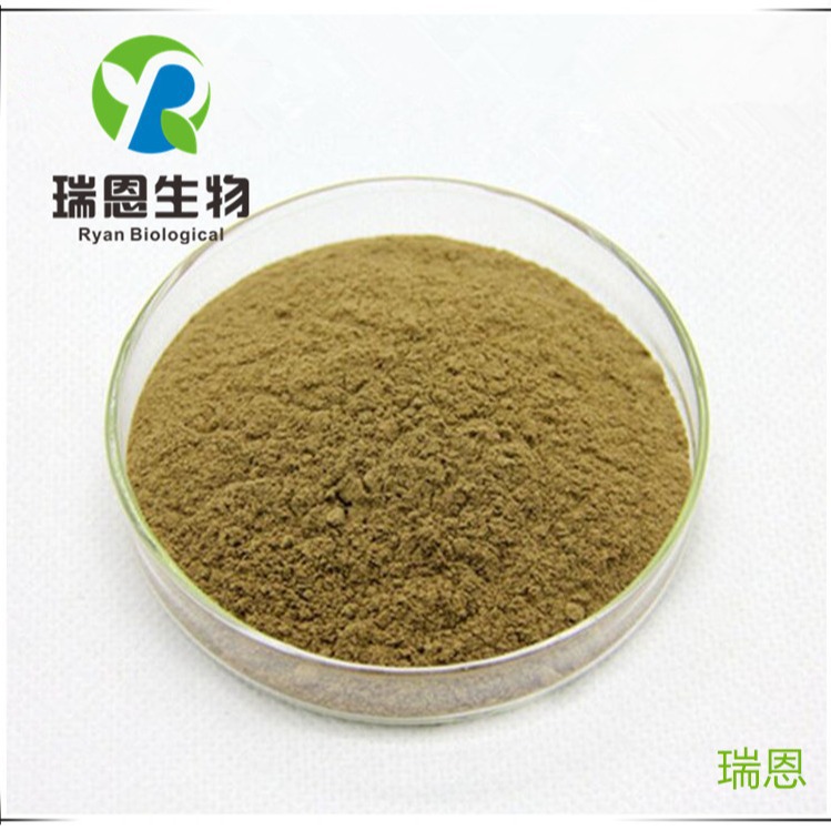 柏子仁提取物20:1侧柏仁纯粉柏子仁粉现货1KG起免邮