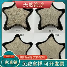 海砂园粒砂消防沙无尘沙疗沙灸养生专用沙压裂砂运动场沙坑用沙