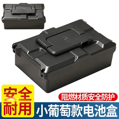 Electric Vehicle Small Grape Battery Other Electric Vehicle Accessories