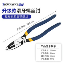 zݽz๦ݽzQľƓpЬPQӺQ