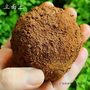 ������̦�\΢���^ˮ·�����Bƿ�������I�B̦�\��ֲ���쾰����