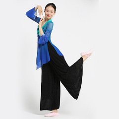 Honghua's new Chinese ancient style classical dance practice female folk dance costume with elegant and elegant gauze performance costume