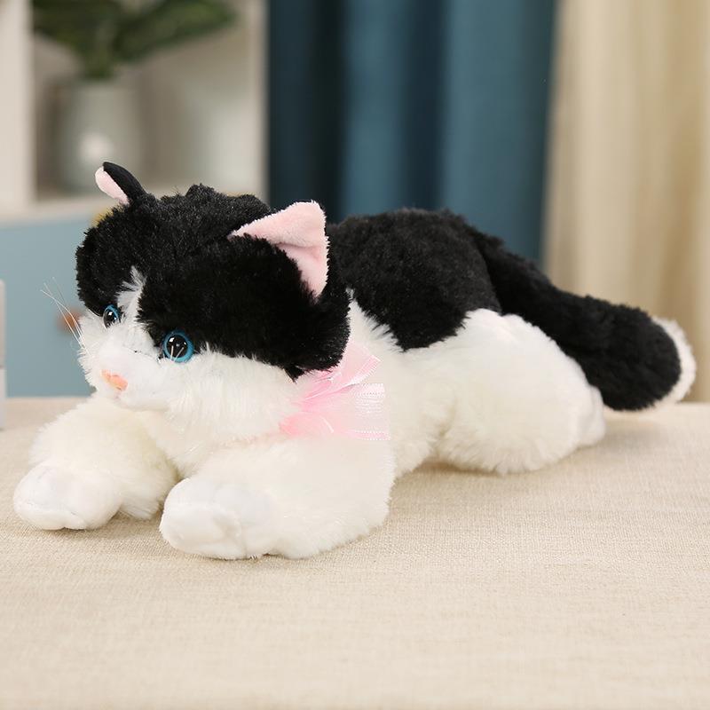 猫の発情玩具公猫専用の下痢|undefined