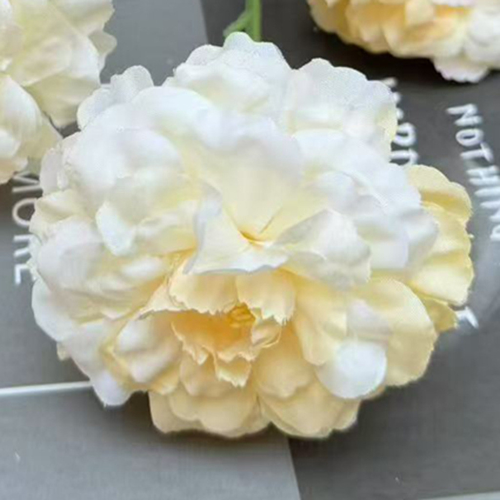 샴페인 꽃 머리