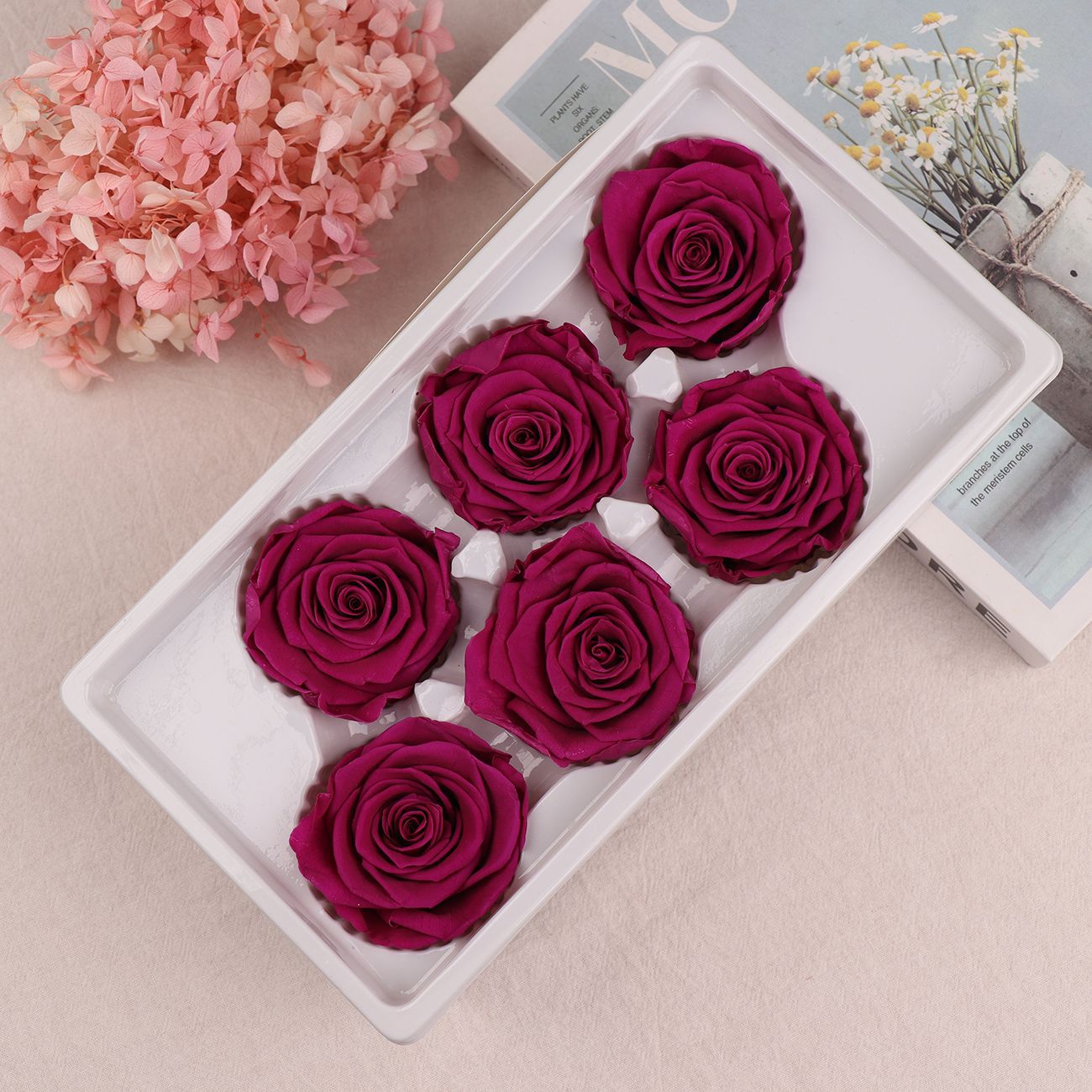 Rosa Preservada A+ de 5-6 cm, Flor Real Seca, Regalo DIY, Venta al por Mayor de Yunnan, Ramo para el Día de la Madre, 520