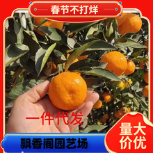 ӿȪ���٘����ϱ���ͥԺ���Ը��������Լ޽ӎ������ӹ��箔��Y��