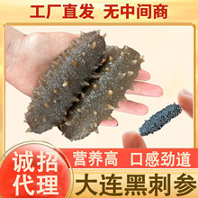 大连海参海味干货辽参开口海参海参刺针滋补品高品质一德路批发