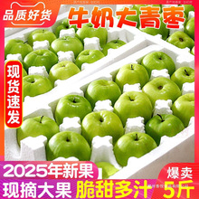 �F؛����ţ�̗�������5�����r�����F���r��ˮ�������ӷ��O���|��