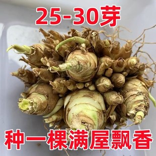 ��ɫ������N����^�ذ����ԝ������̨ͥԺ�����ͺ���ֲ�ﻨ��