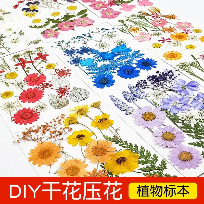 Мешочный цветок DIY смешанный сушеный цветок лист сумка с тиснением настоящий цветок образец растения родитель-ребенок капельный клей натуральный сушеный цветочный материал сумка