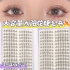32 rows of sunflower eyelashes book (transparent stem)