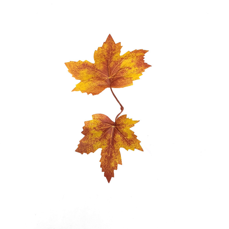 realistic maple leaf