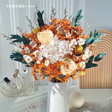 ��ɫϵ����õ���ȼ����~�ɻ������Ҿ��b��滨����ˮ��������[��