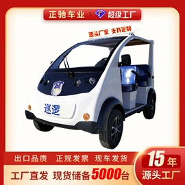 其他电动车;电动观光车