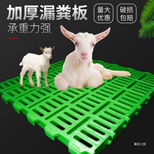 �B���õ�©�S���B�i����������Ȧ�ͺ�����©�S�W�����a��׿������