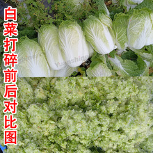 Ԫɼ�߲˴���C ���^����C ��������C �๦�����U�����������C