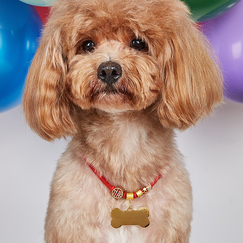 Nuevo collar de mascotas para perros anti-perdida collar gatos escritos collar de viento chino artículos para gatos al por mayor