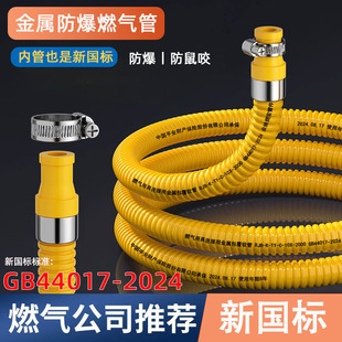 Gas pipe gas pipe natural gas liquefied gas pipe household gas stove gas stove metal explosion-proof hose mouse bite-proof