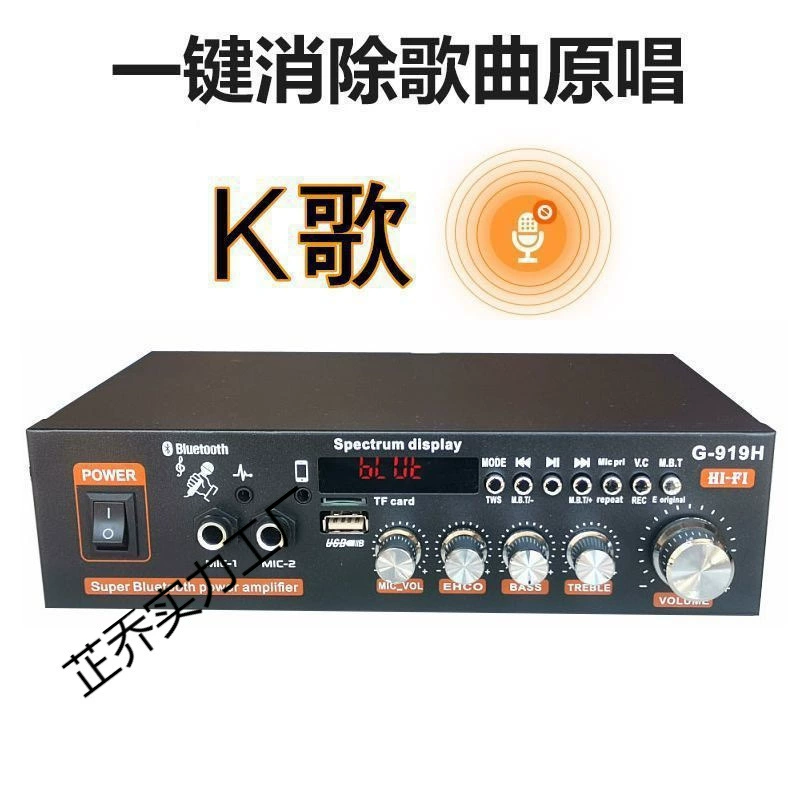 Аудио усилитель мощности, книжный усилитель, маленький усилитель для дома, 220 В, 12 В, автомобильный источник питания двойного назначения