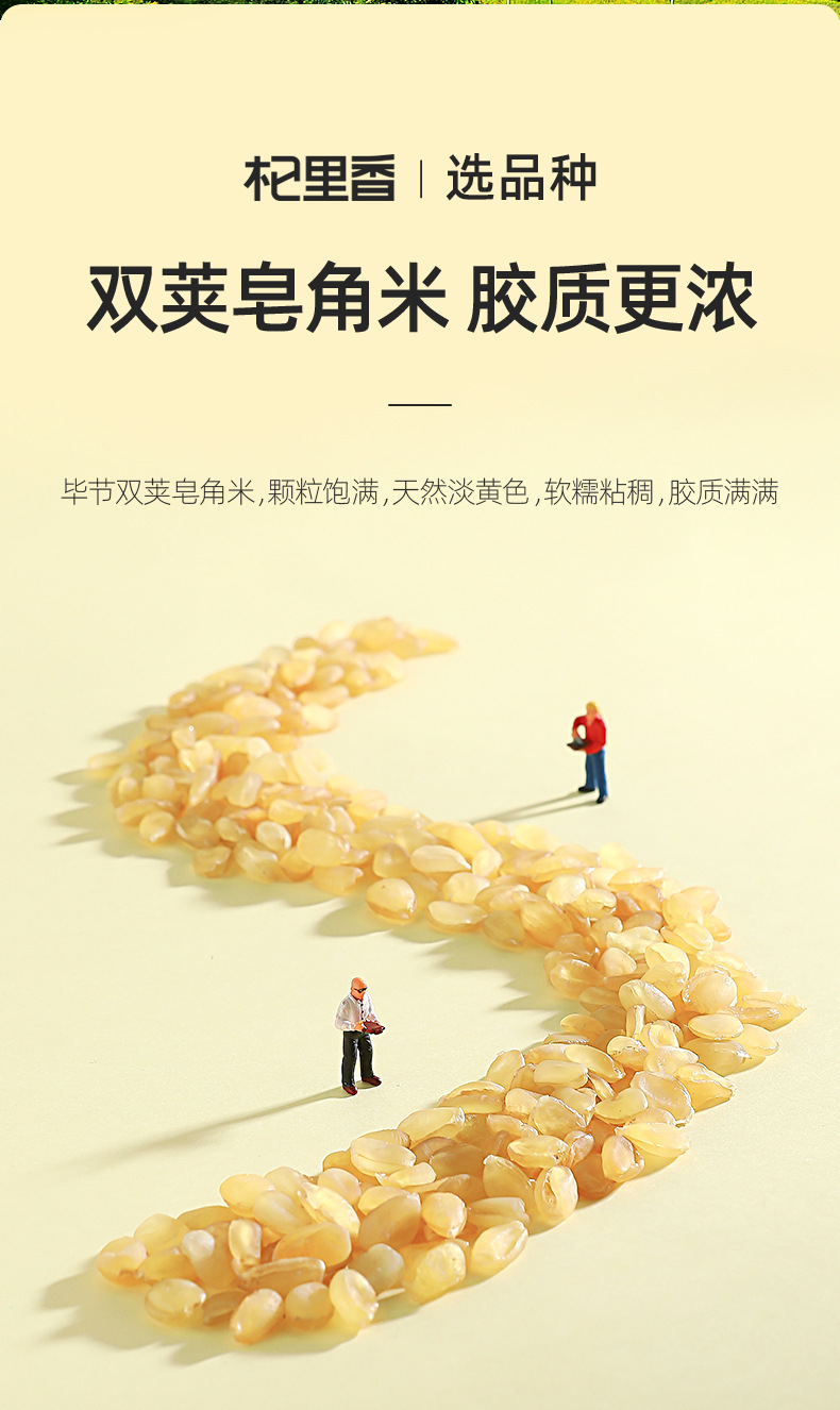 Gleditsia Sinensis Seed 100g Zao Jiao Mi Large Plump Seeds for Soup and Dessert key features