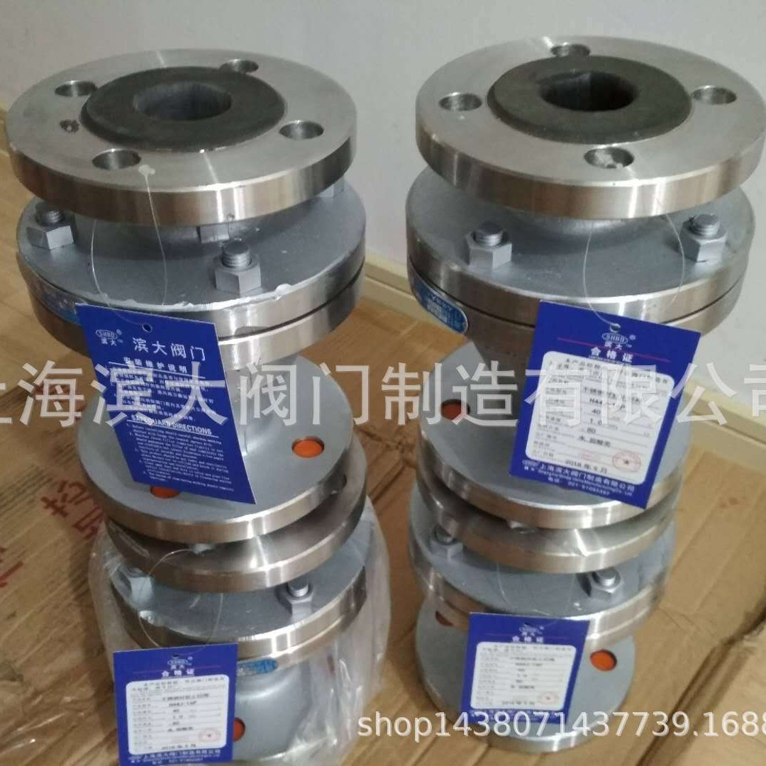 上海滨大阀门 不锈钢衬胶止回阀H44J-16P衬胶止回阀 DN80