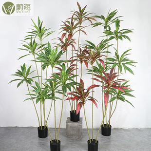 ���W�L�߷����콶�Gֲ�b��҃ȿ͏d������Ԕ[������ֲ���콶���l