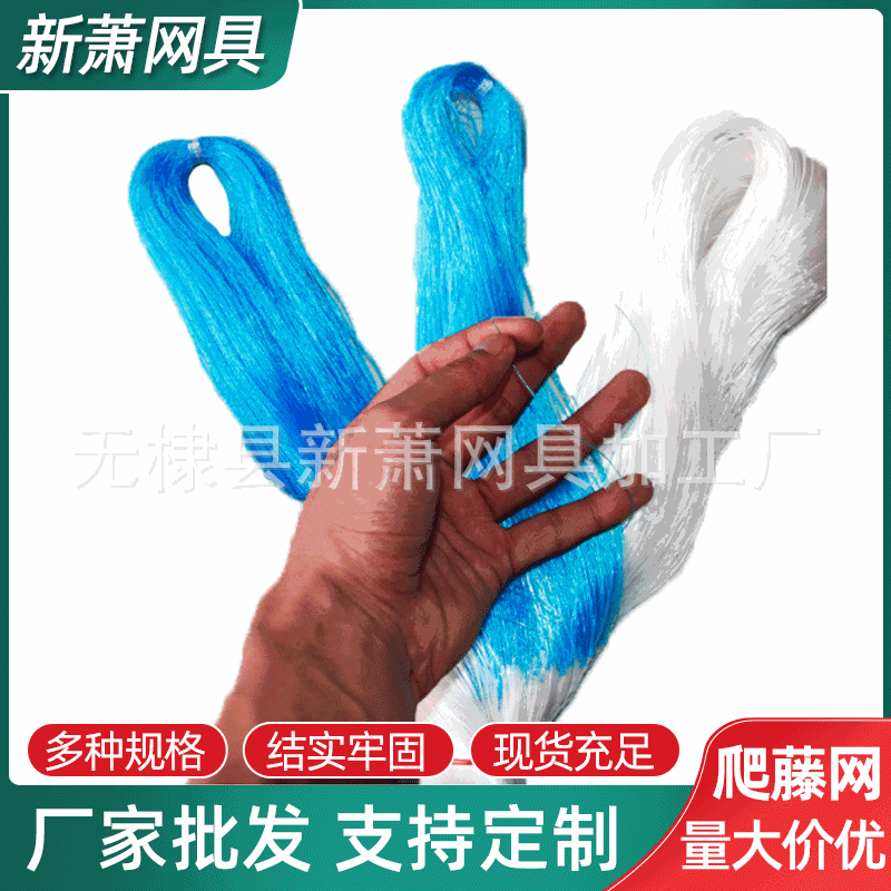 厂家批发植物攀爬网 山药豆角蔬菜吊瓜网 黄瓜网 爬藤网 苦瓜网