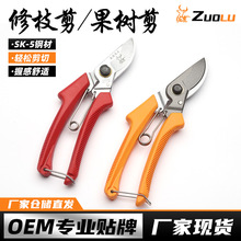 ��¹120��SK5�@ˇ��֦��@ˇ�����B���͹������֦�辰����