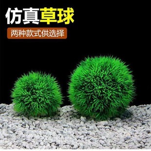 lˮˮb쾰~[ϲݾGɫ