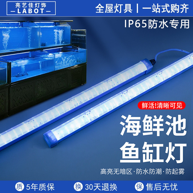 Special Led Light Tube for Fish Tanks, Waterproof, for Seafood Tanks in Restaurants, Blue and White Light, Long Strip Lighting for Aquaculture Fish Farming Special Led Light Tube for Fish Tanks, Waterproof, for Seafood Tanks in Restaurants, Blue and White Light, Long Strip Lighting for Aquaculture Fish Farming