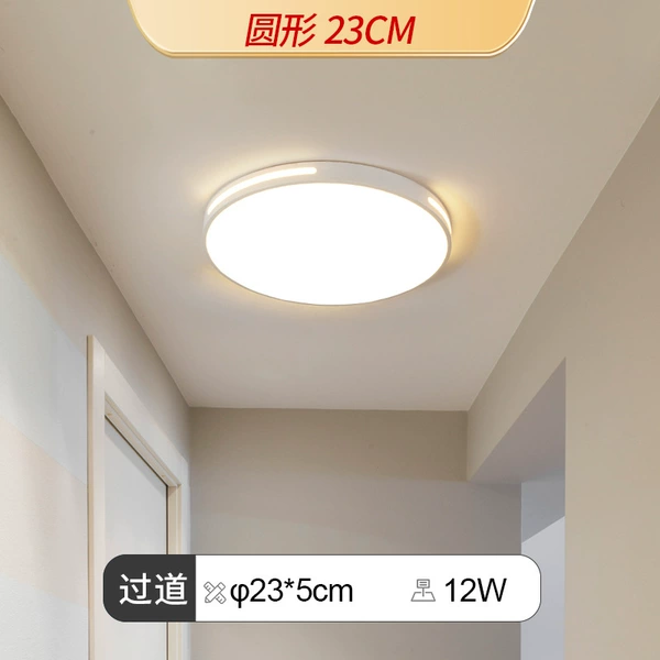 【Regular Model】23cm round-12W-Flying Model