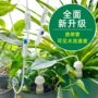 灌溉园林养护滴水渗水器