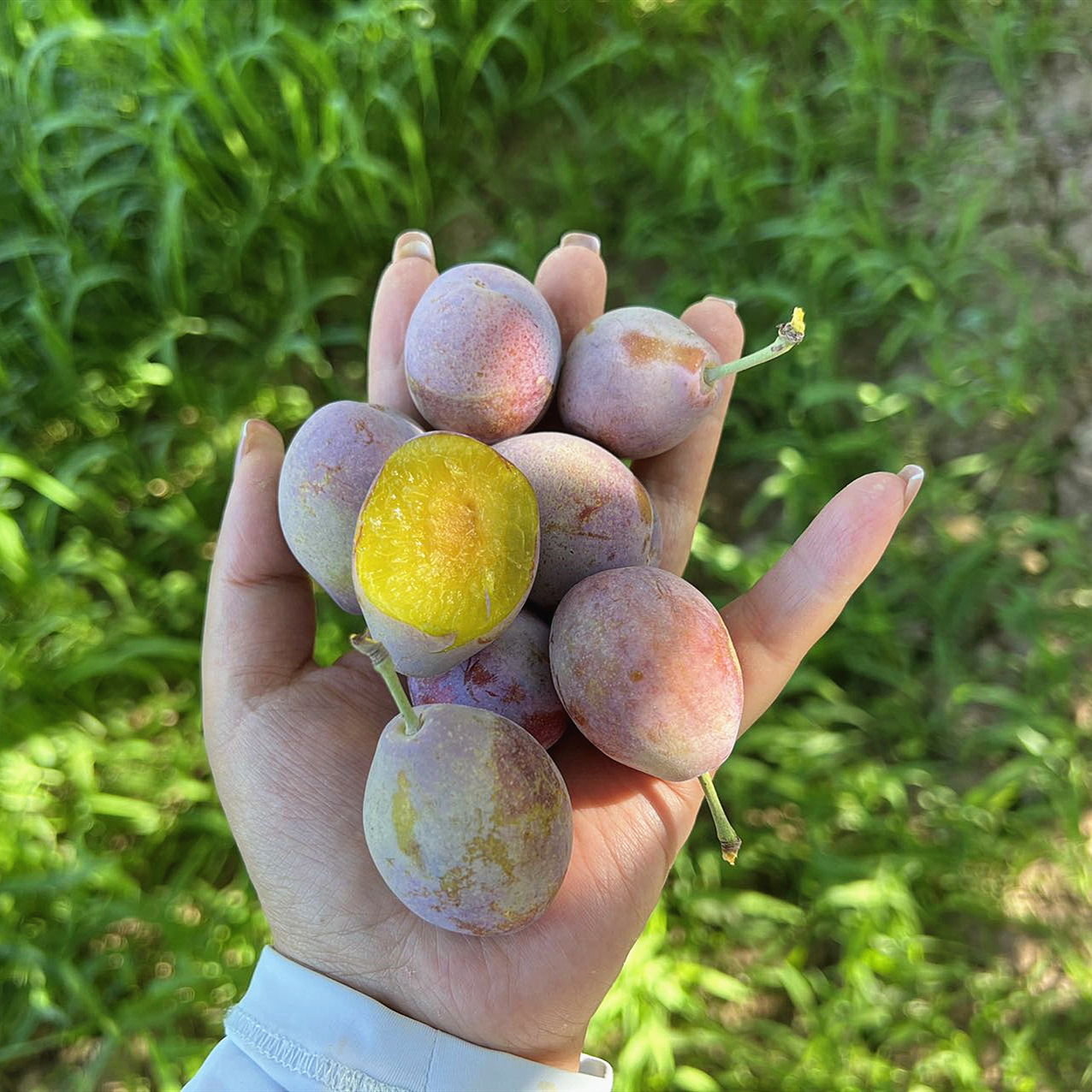 af0dcde0bdc50038fc79470266557d