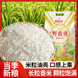 ��������Ұ�マ�������׳��L�����׽z��10��������׵��������