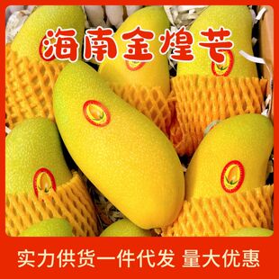 ���ں��Ͻ��â�����rժ��������һ����ˮ��â����ˮ��������â