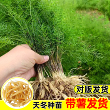 �춬���춬�ؼ�һ��Ʒș�ľGֲ�҃������ͺ�ϲ��ļ��������T����