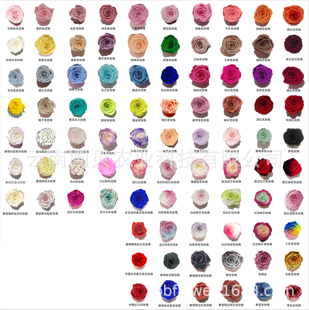 微信图片_20220309142705