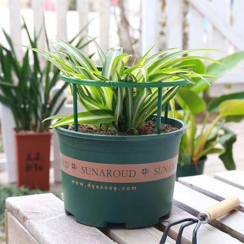 Household Plastic Thickened Balcony Plant Pot for Roses Strawberries Galvanized Iron Pot Green Foliage Specialized Plant Pot