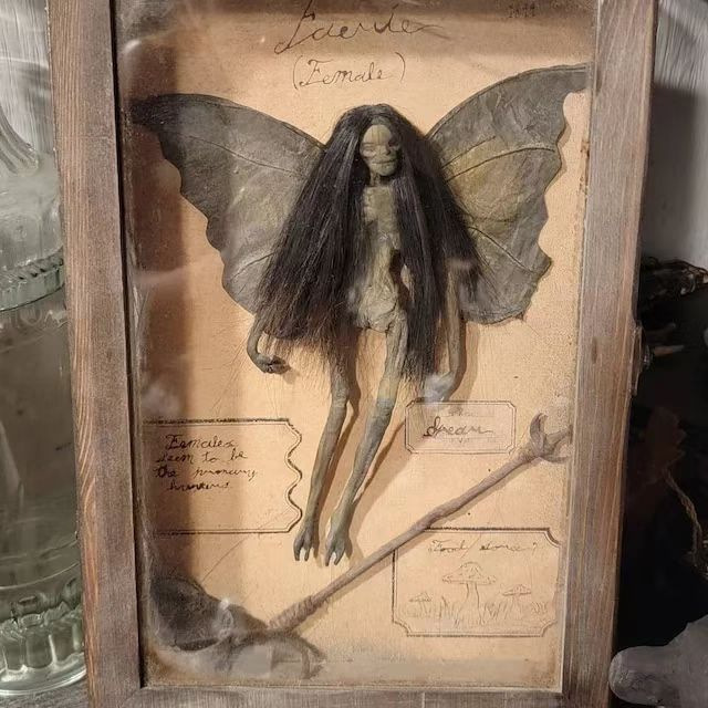 Mummified fairy in display box cross-border new fairy mummy decorative photo frame decoration