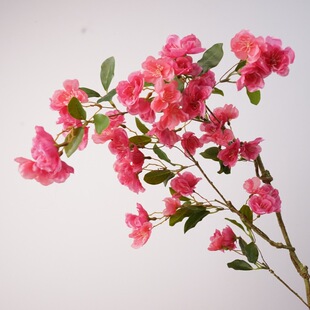 ��Ʒ�|����ѻ����Ļ���c�ٻ��ҾӔ[�O�쾰������滨���zӰ����