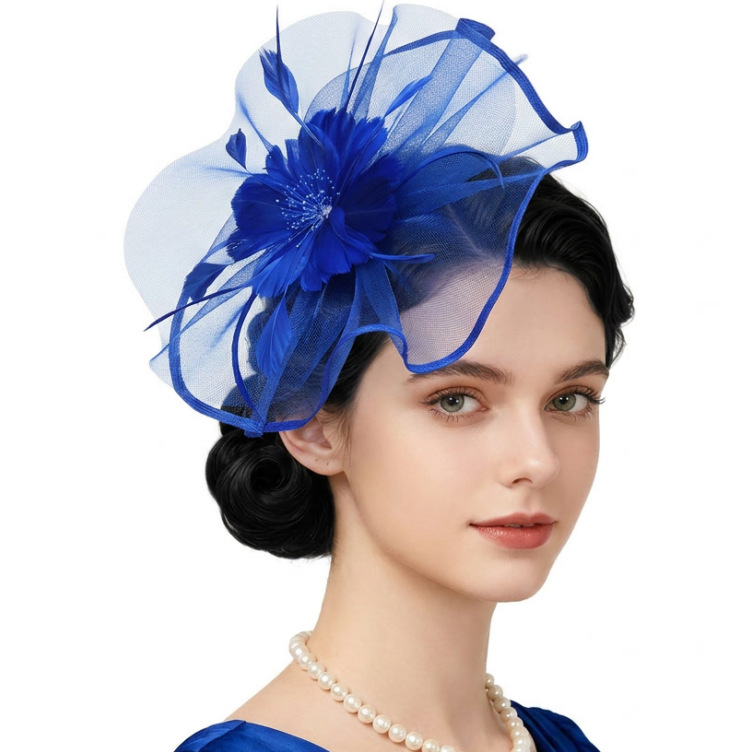 Bride's Mesh Feather Headpiece, Hair Clip and Headband, Dual-Use, Amazon Bestseller, Party Mesh Top Hat, Horse Racing Festival Headpiece